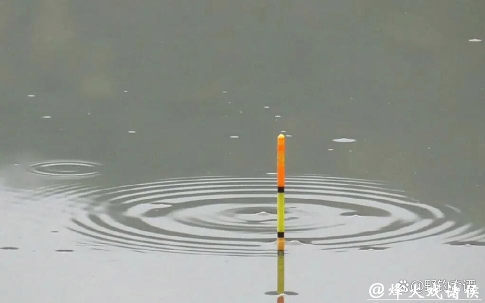 别再乱提竿!小飞哥拆解四大漂相:抓住这一种,中鱼率飙升95% 别再乱提竿!小飞哥拆解四大漂相:抓住这一种,中鱼率飙升95%